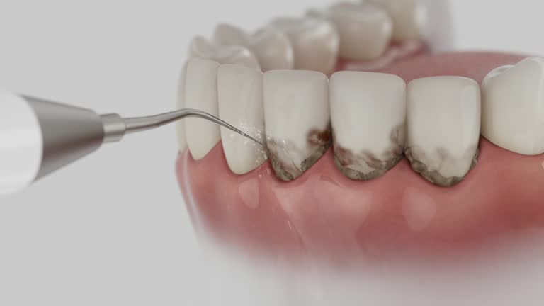 Reliable Dental contractor in Moncks Corner, SC by Dentist Open Now